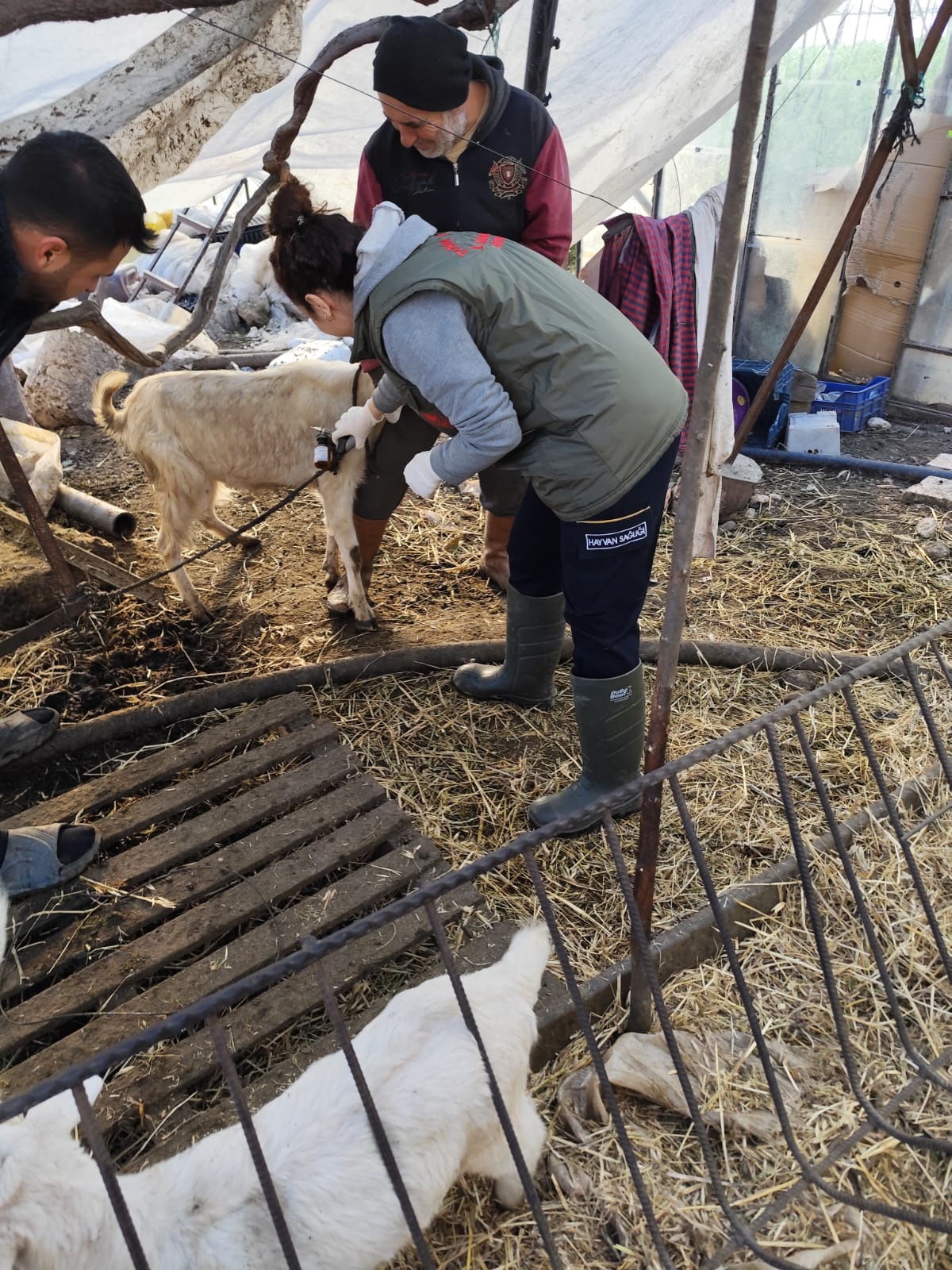 Antalya'da Yetkililer Düğmeye Bastı (1)