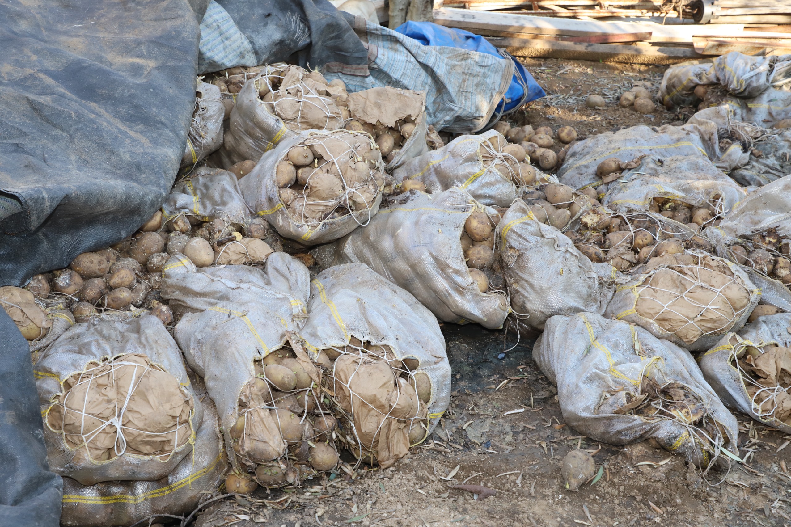Antalya’da Zabıta Ekipleri Izinsiz Gıda Üretimini Durdurdu (4)
