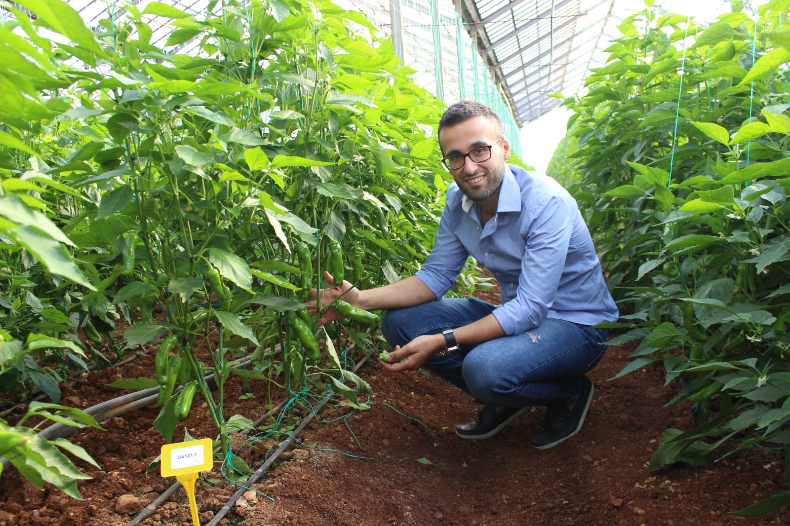 Antalyadaki O Sektor (2)