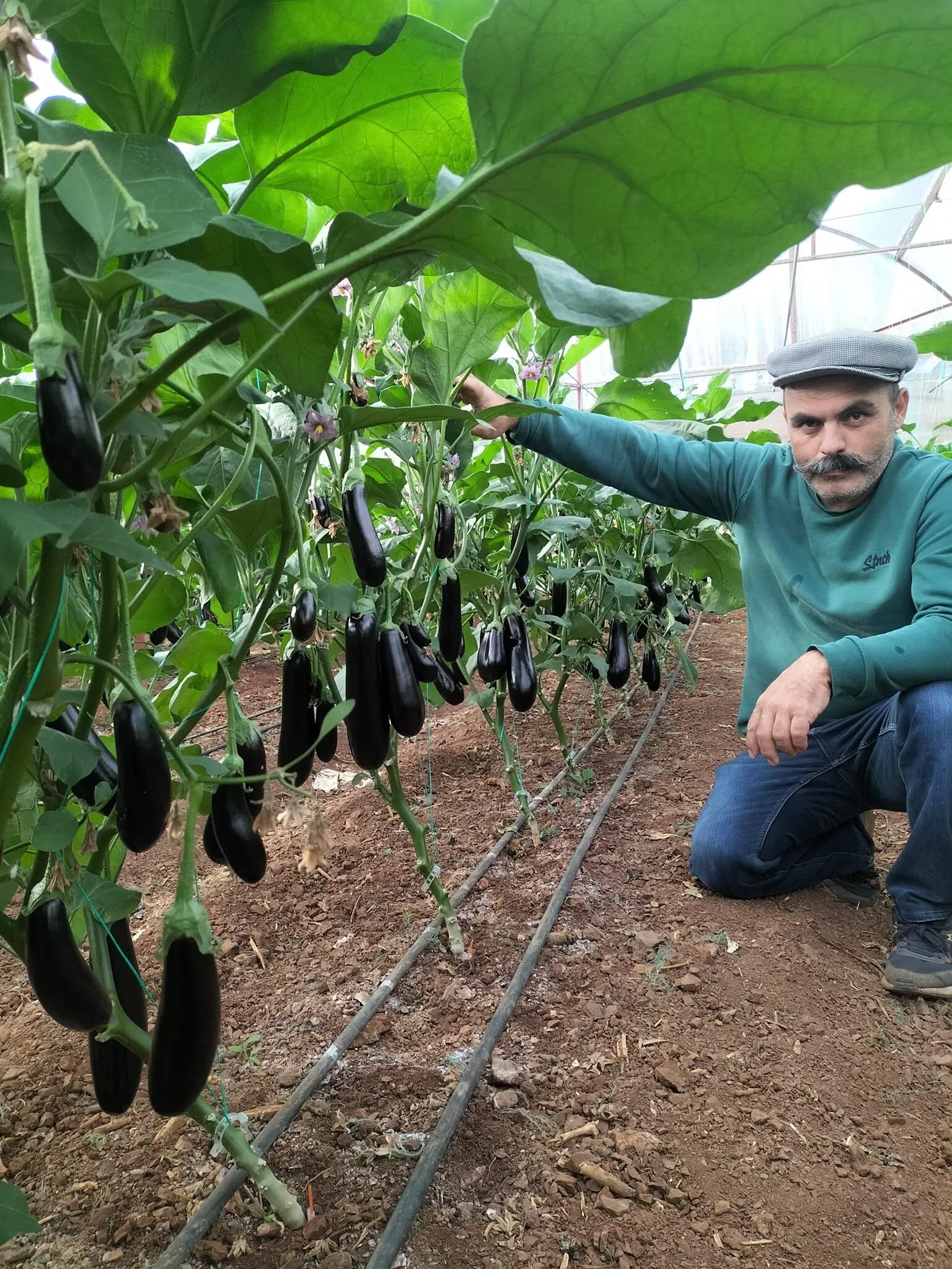 Antalya’nın Bıyıklı Dayı’sından Üzen Isyan (1)