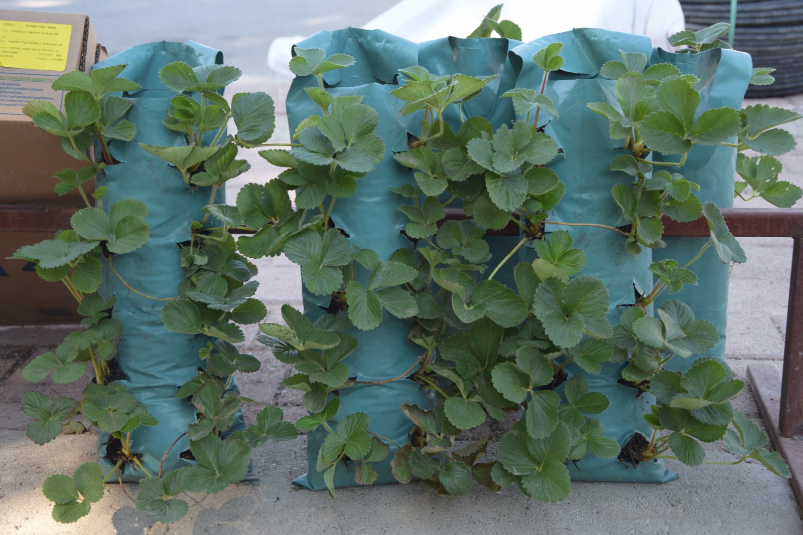 Antalyanin Dev Firmalarina Sorusturma Soku (2)