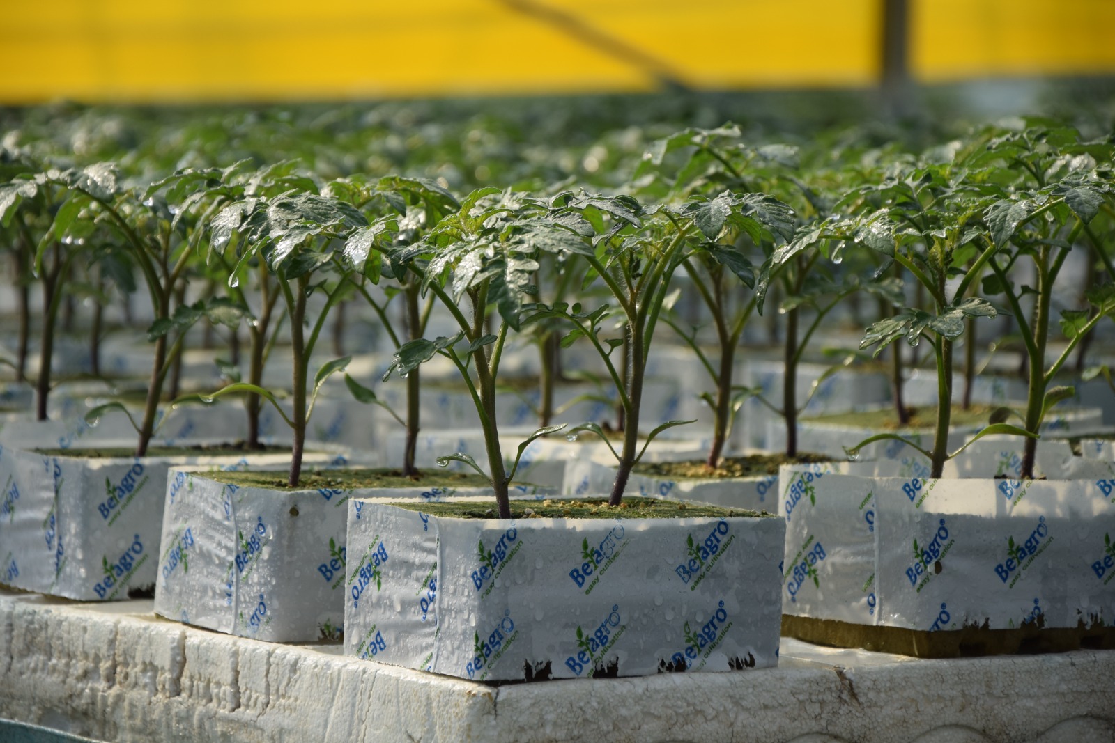 Antalyanin Dev Firmalarina Sorusturma Soku (4)