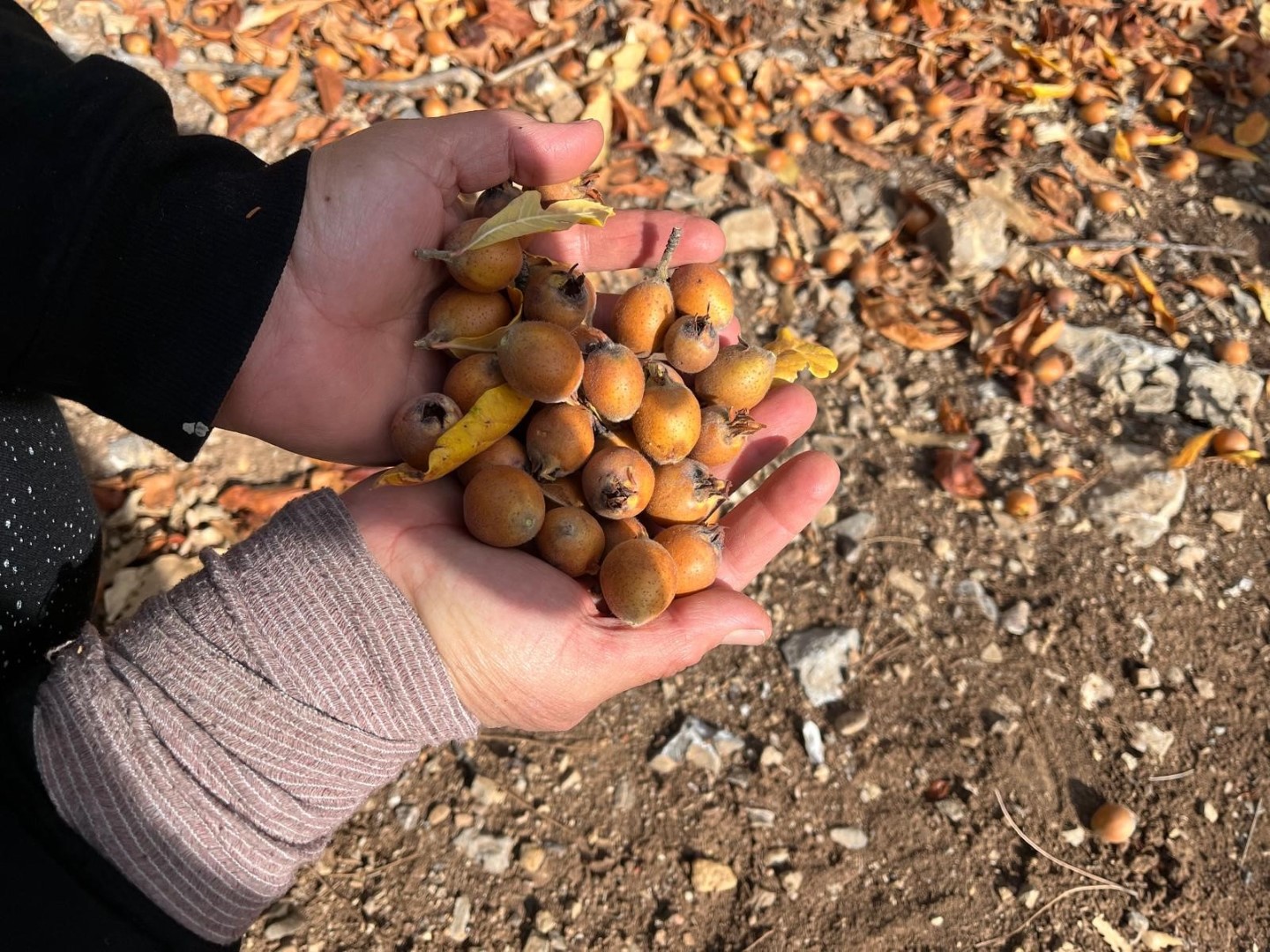 Antalya’nın Hayırseverinden Ücretsiz Hizmet (2)