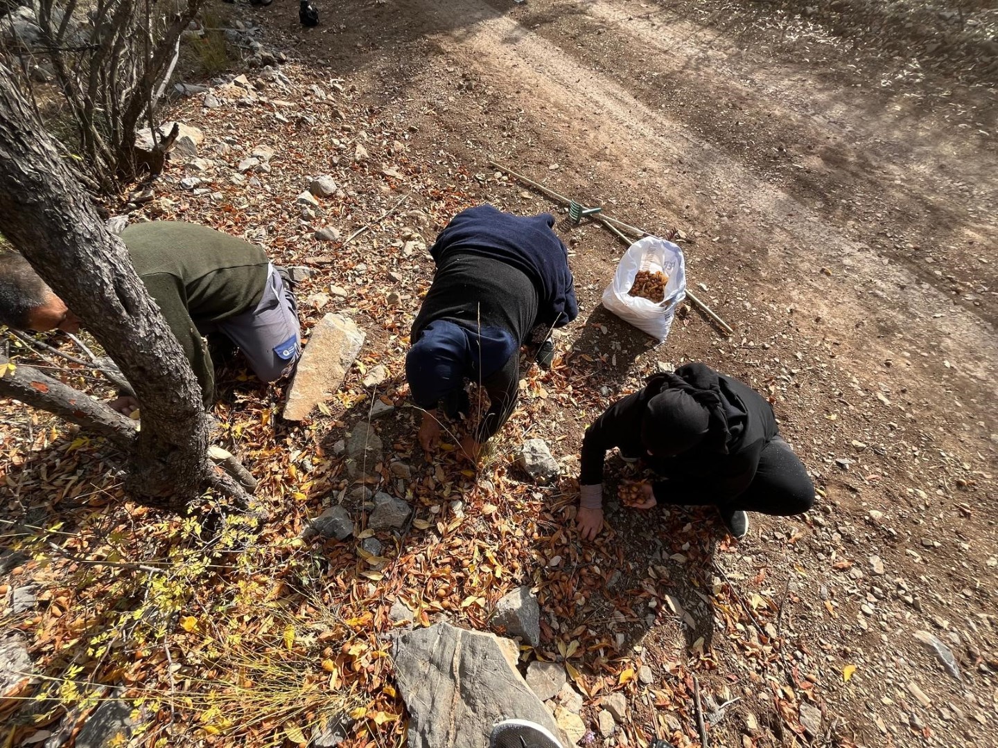 Antalya’nın Hayırseverinden Ücretsiz Hizmet (3)