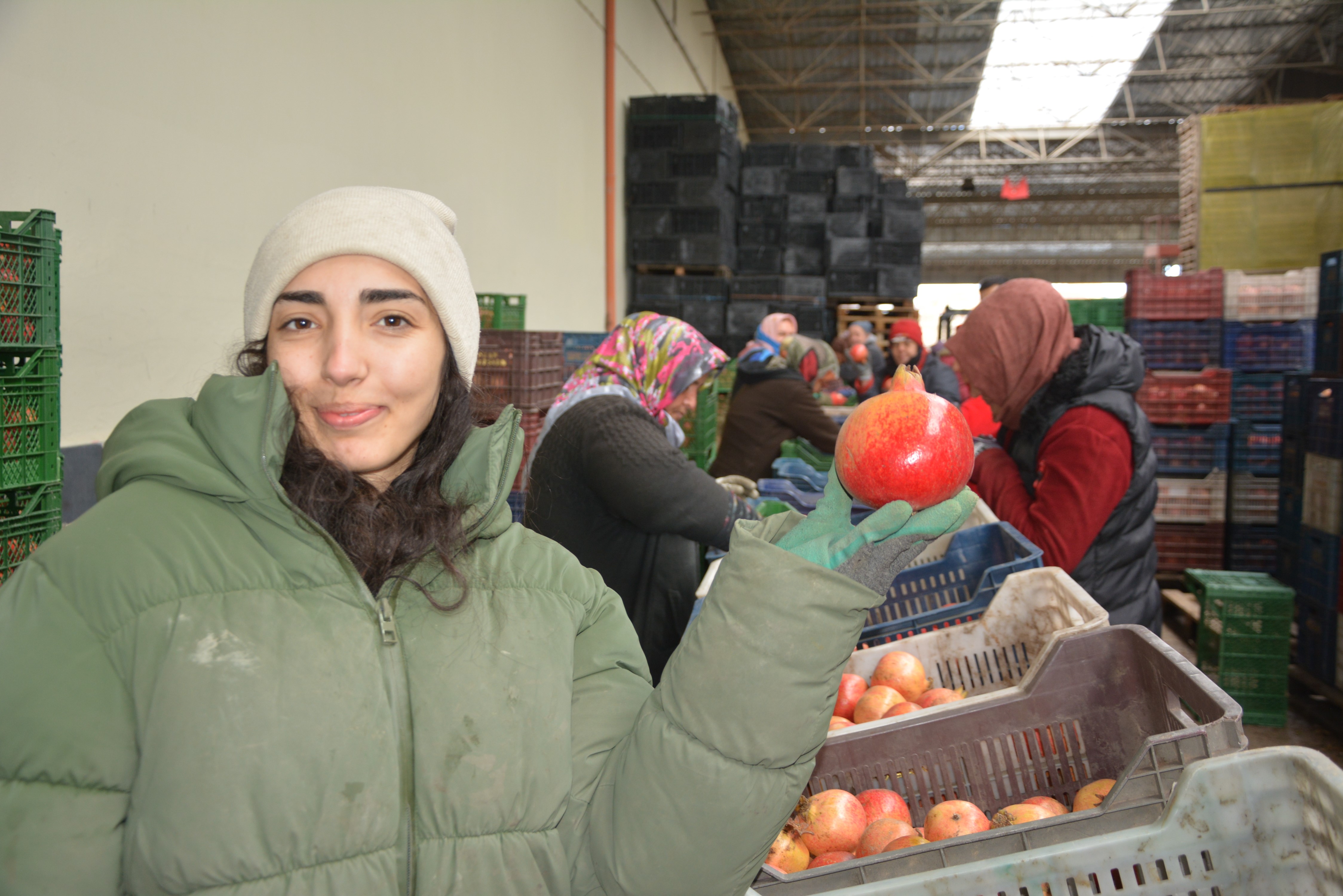 Antalya’nın Korkuteli Nar Ihracatı Başladı (1)