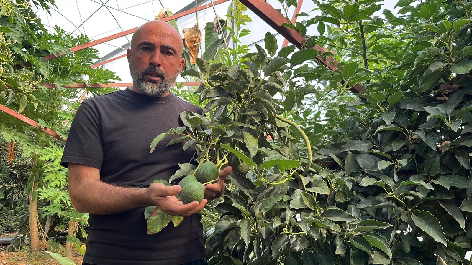 Antalya’nın O Ilçesi Dünyayı Doyuruyor (4)