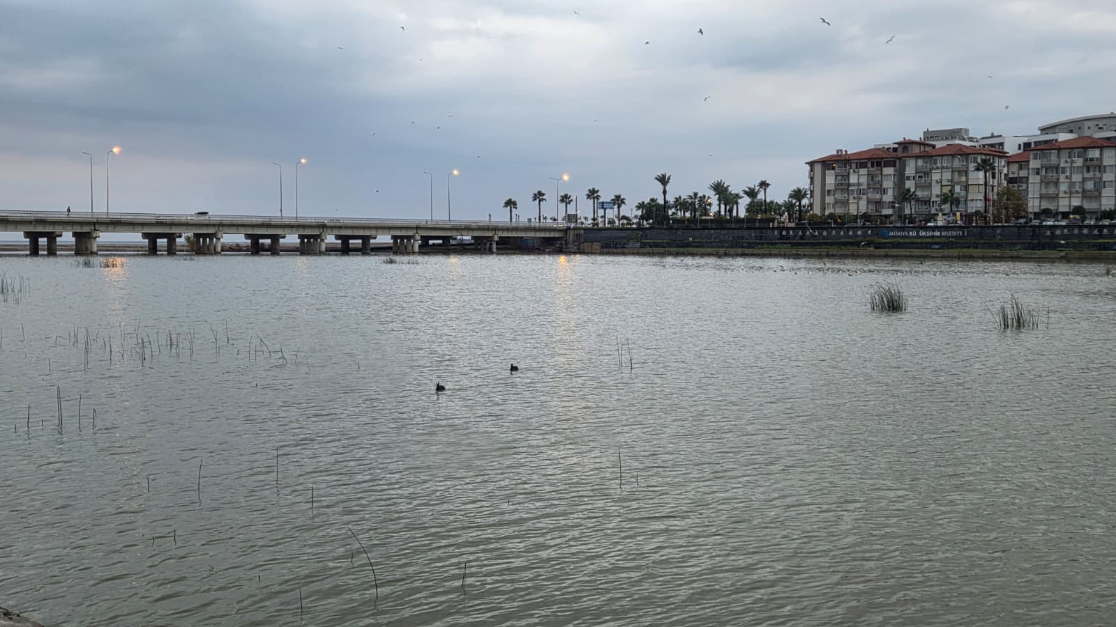 Antalya'nın Vizyon Projesi Çamur Ve Yosuna Teslim (1)