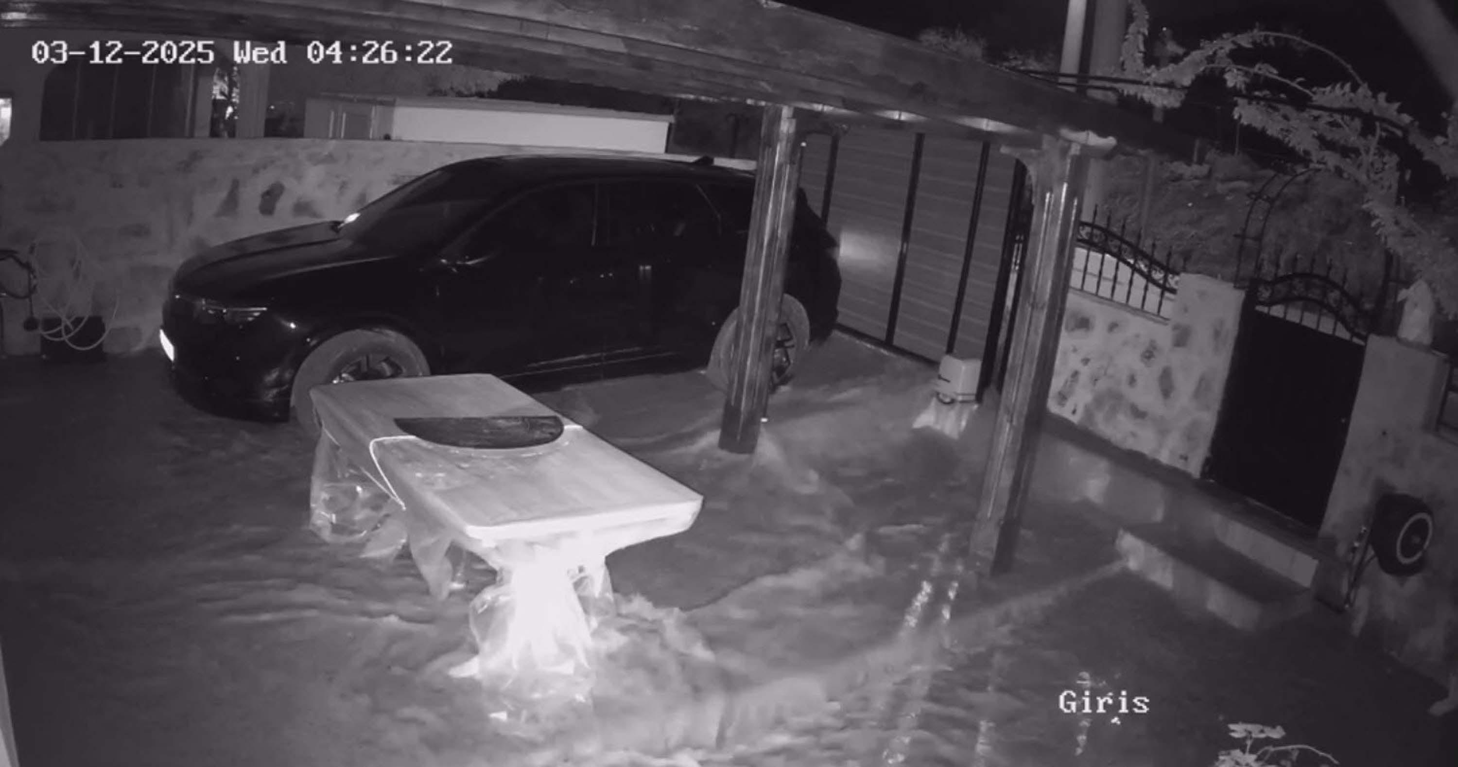 B O D R U M D A I S A L E H A T T I P A T L A D I C A D D E G O L 1045194 310154