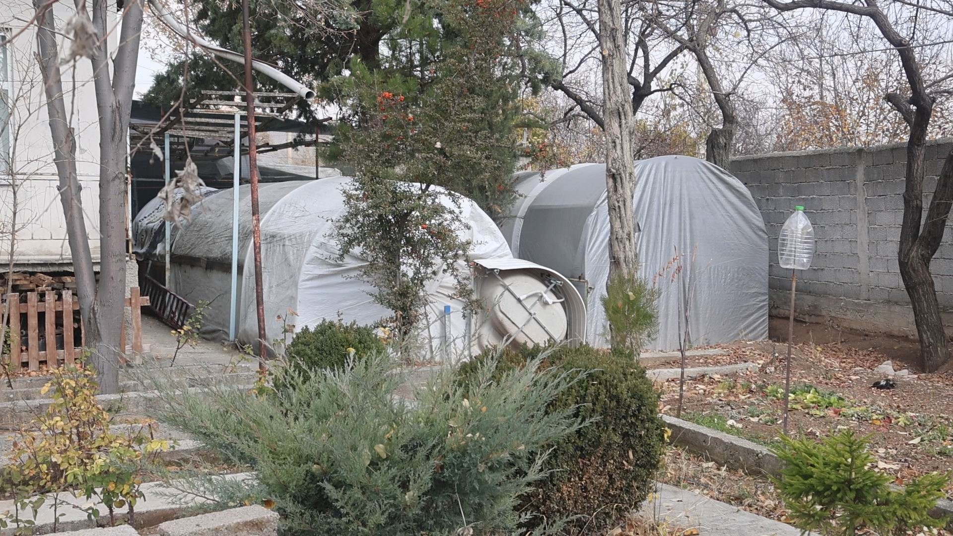 Bu Serada Sebze Değil Klasik Araba Yetişiyor (11)