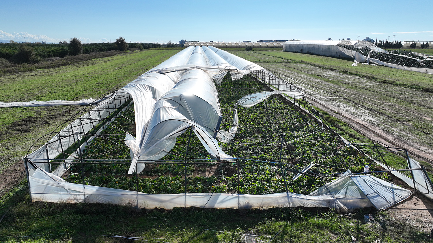 Büyükşehir Belediyesi Seraları Zarar Gören Çiftçinin Yanında (18)