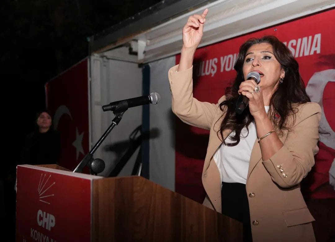 Demet Gunduz Asgari Ucret (1)