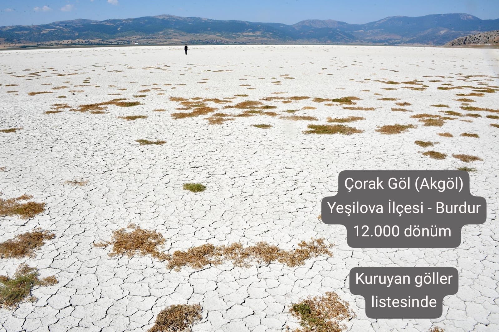 Flmingo Gölü Kurudu (2)