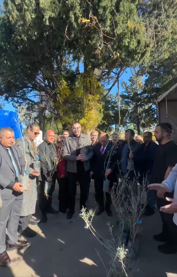 Kemer Zeytin Fidani Dagitimi