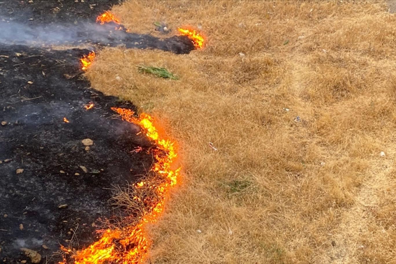Kirletmenin Bedeli Ağırlaştı (1)