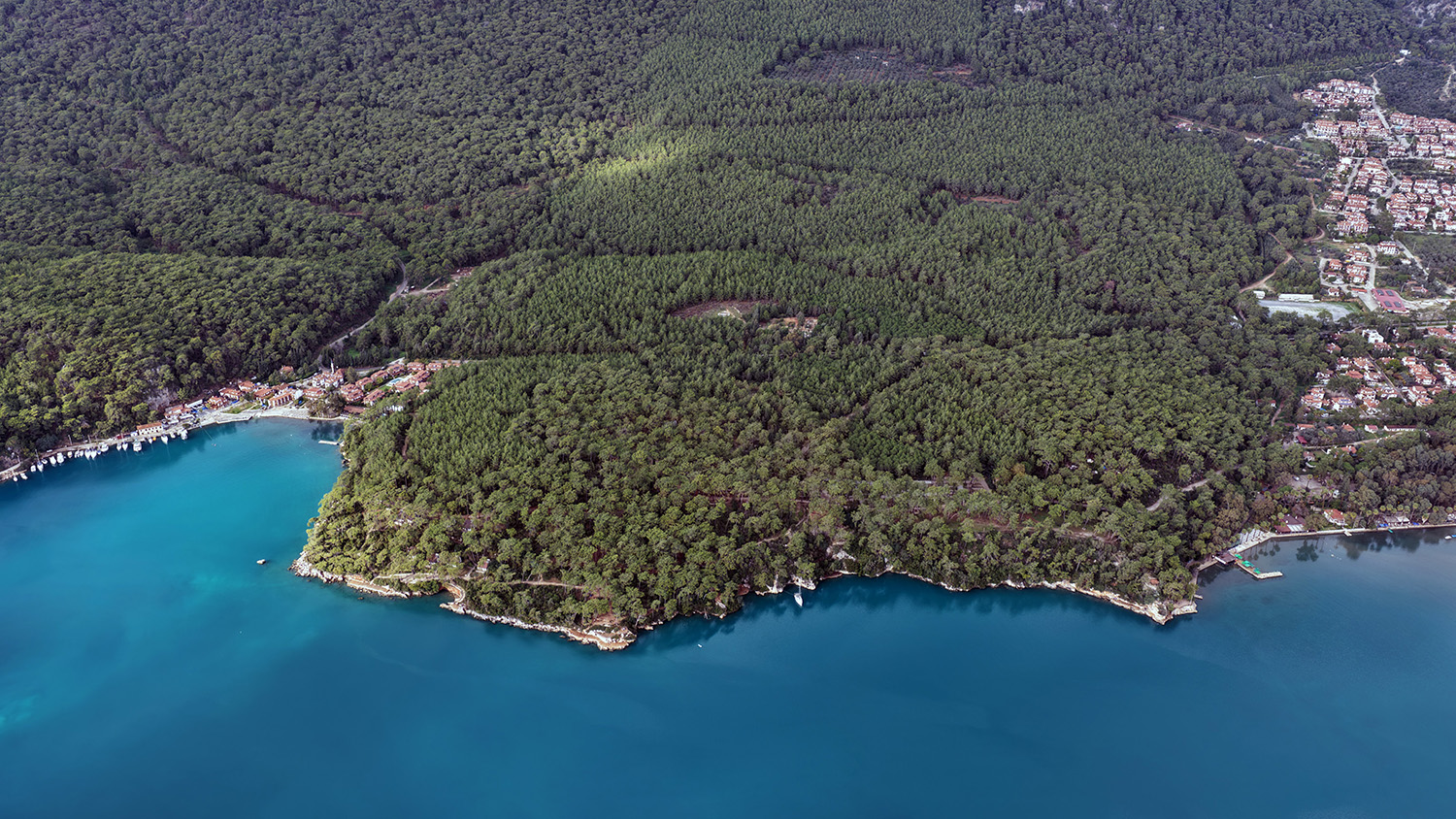 Kuruyan, Risk Oluşturan Ve Devrilen Ağaçlar Tespit Ediliyor (7)