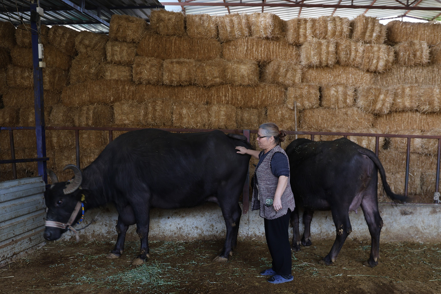 Mandadan Gelen Altın Lezzet (5)