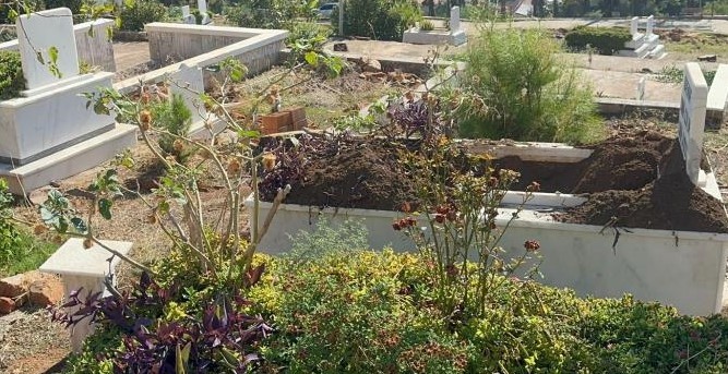 Marmaris'te Domuzlar Mezarlıklara Dadandı (4)