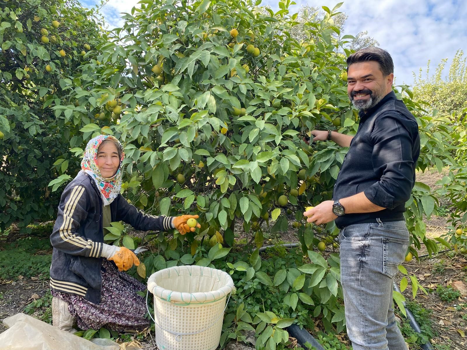 Mersinlilerin Ekmekleri Limondan (1)