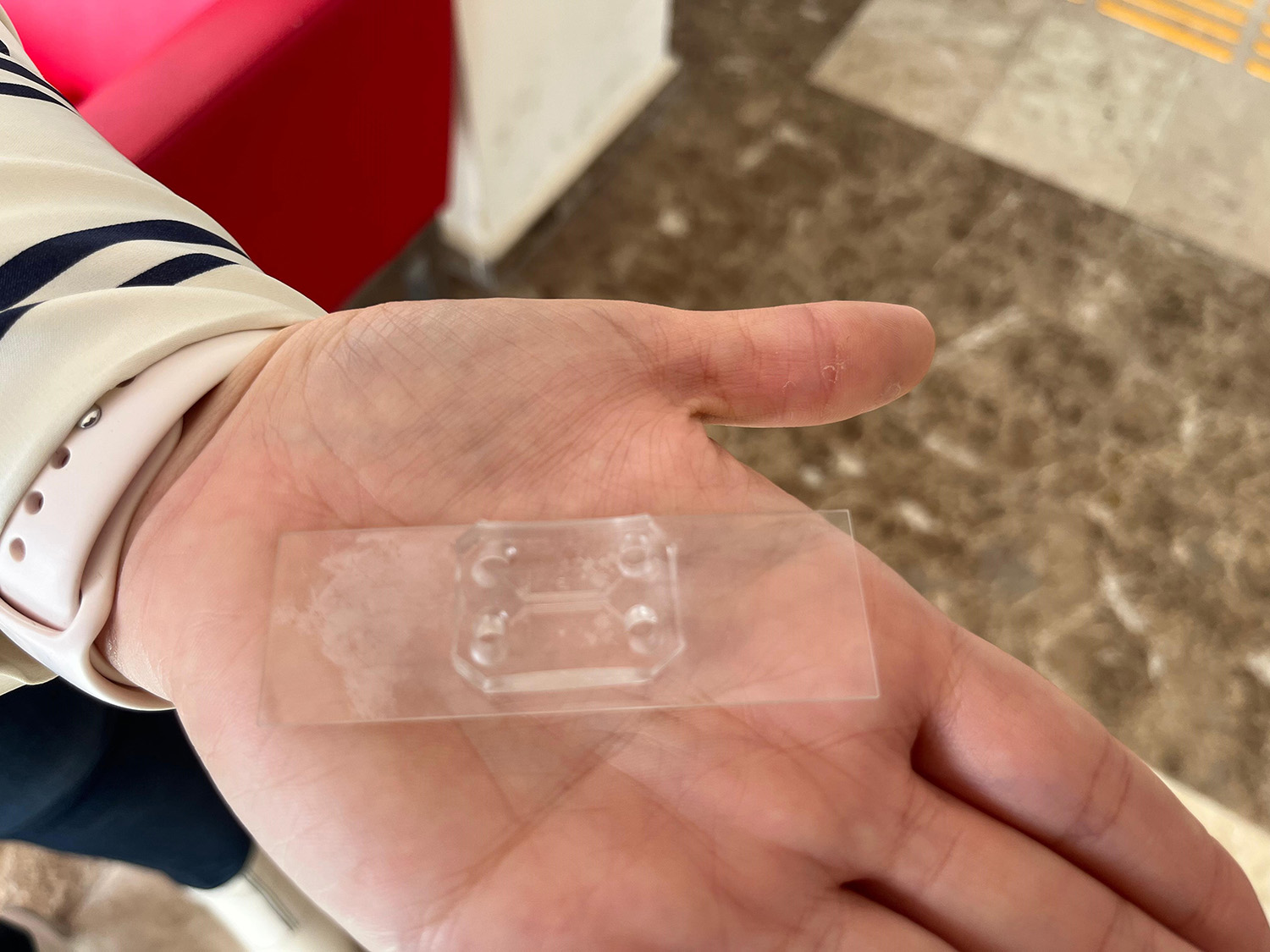 Parkinson’da Bağırsak Beyin Iletişimi Çip Üstü Organ Teknolojisiyle Araştırılıyor (1)