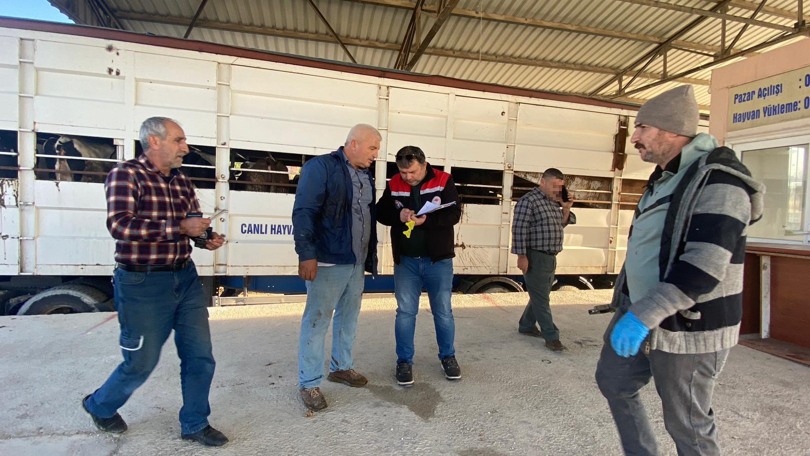 Şap Karantinasının Kurallarına Uymadılar Hayatlarının Cezasını Aldılar (1)