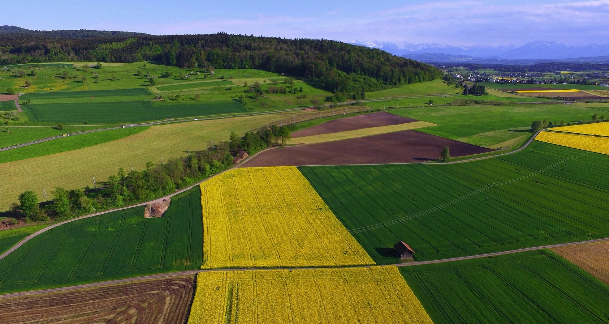 Tarim Arazilerinde Malik Rizasi Olmadan Kiraya Verilmesi Dava (1)