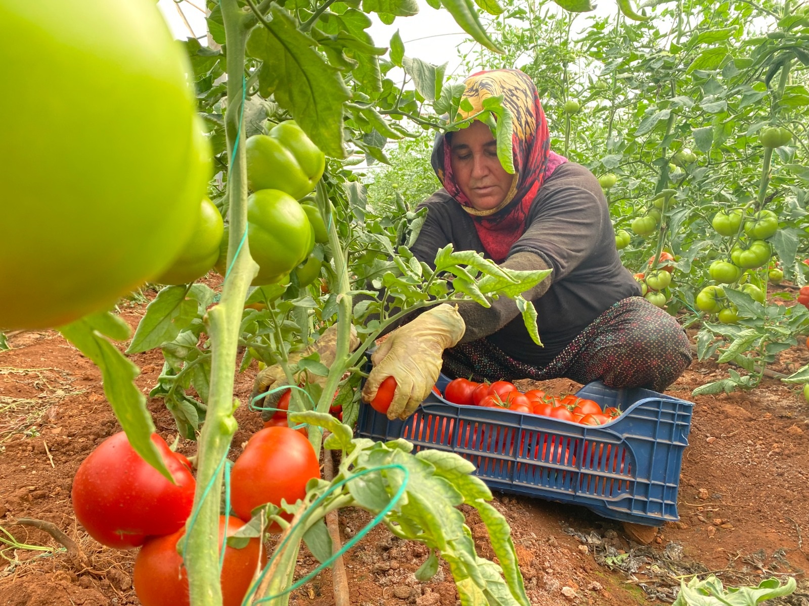Tüi̇k’in 2025 Raporunda Dikkat Çeken Detaylar (2)