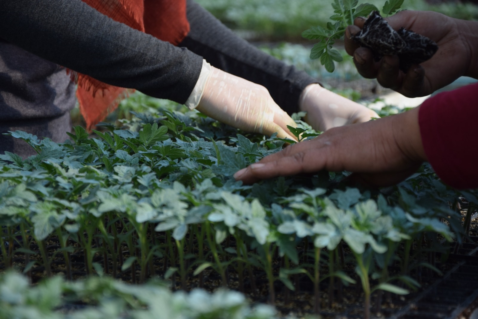 Tüi̇k’in 2025 Raporunda Dikkat Çeken Detaylar (4)