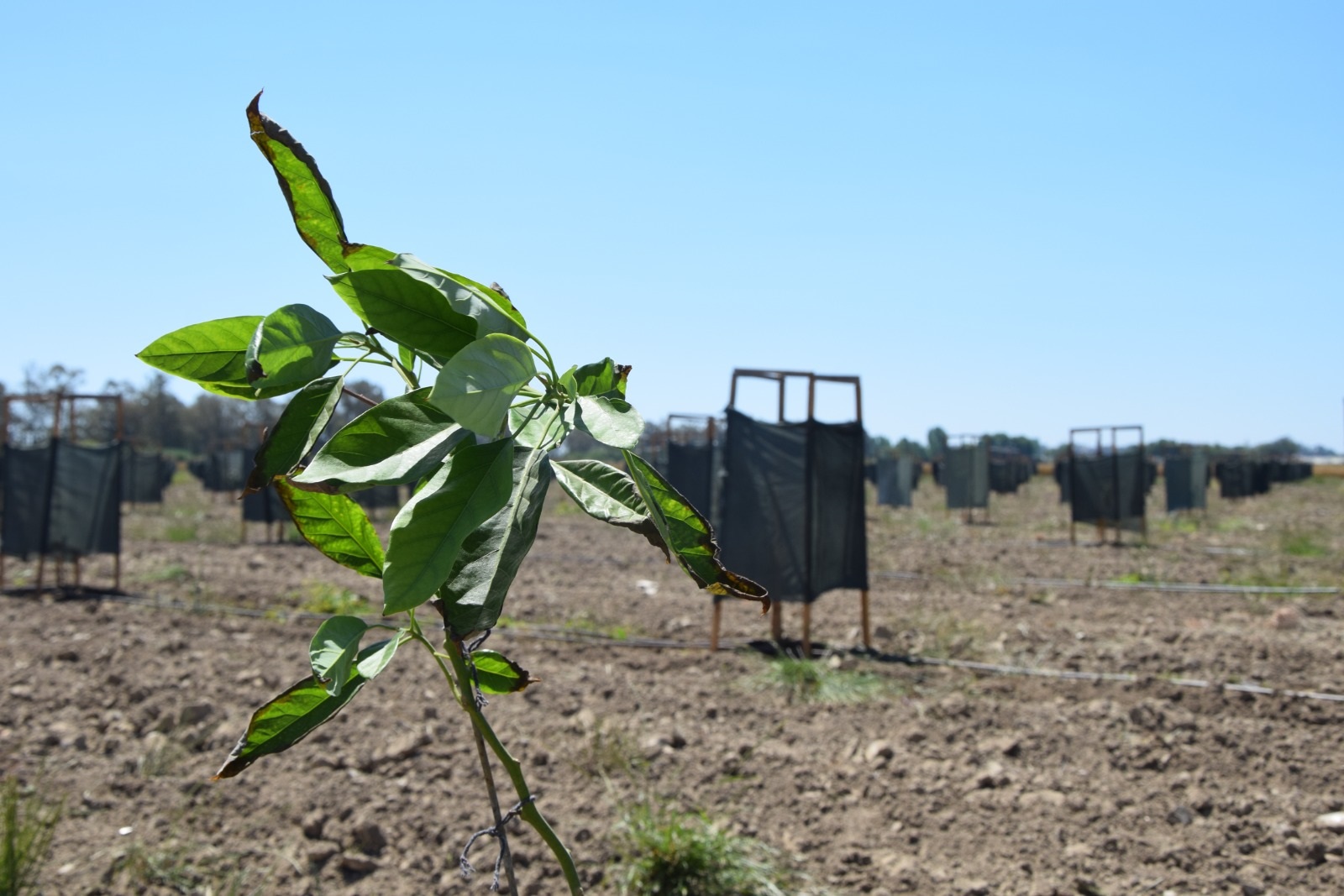Tüi̇k’in 2025 Raporunda Dikkat Çeken Detaylar (5)