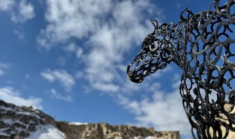 Türkiye'nin Ilk At Müzesi Kapılarını Açtı (1)