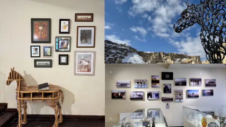 Türkiye'nin Ilk At Müzesi Kapılarını Açtı (2)-1