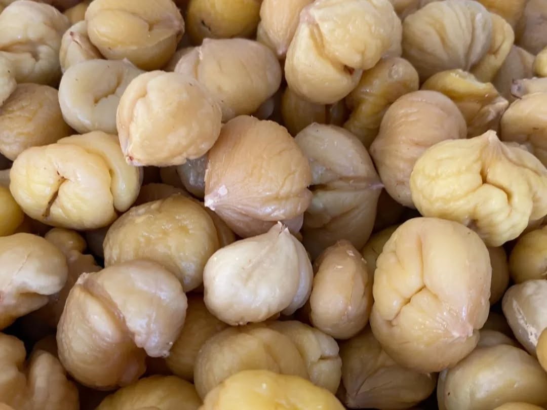 Türkiye'nin Yüzde 33'Ünü Karşılayan Aydın Kestanesi, Ihracata Hazırlanıyor (3)