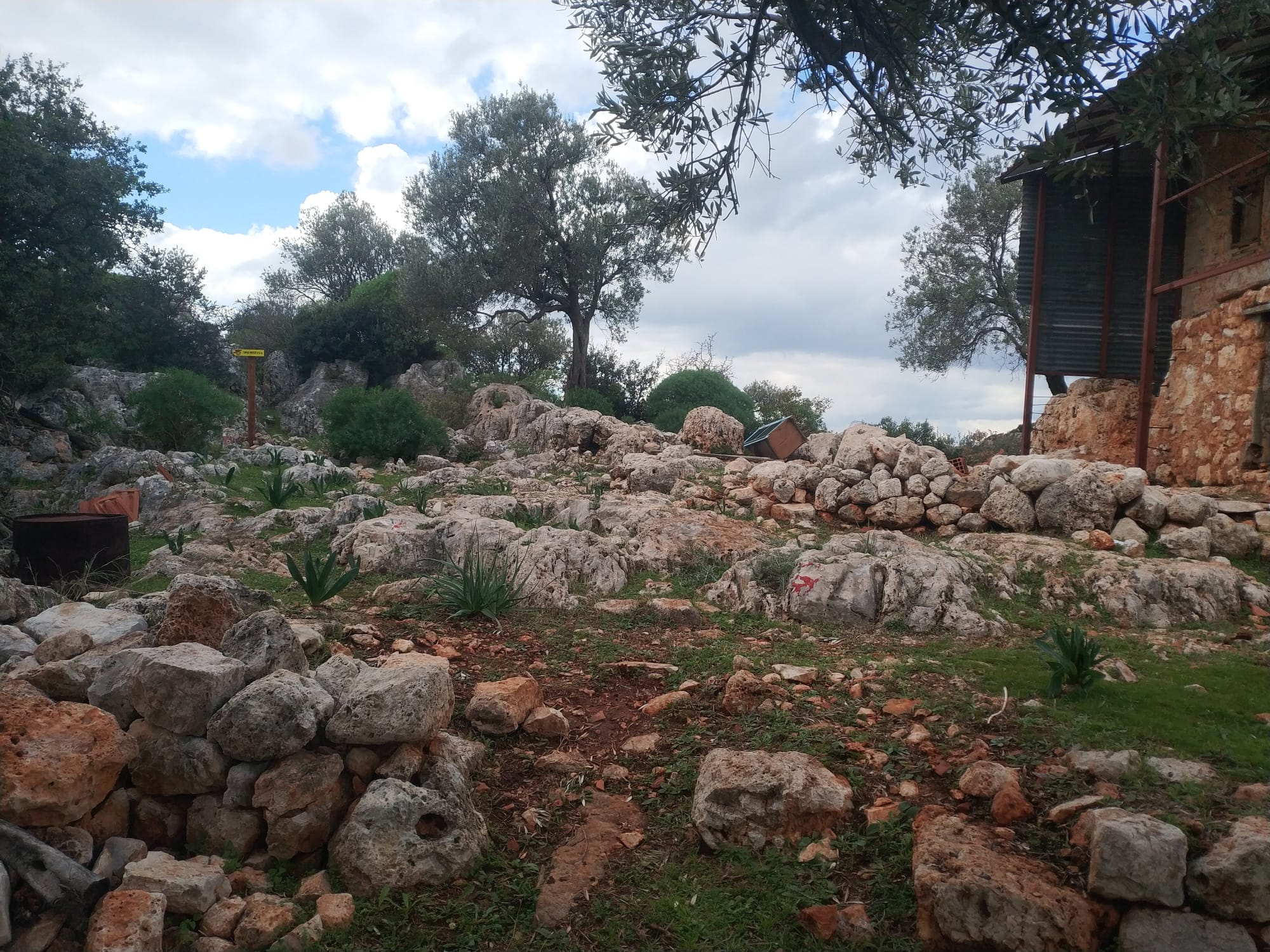 Whatsapp Image 2025 12 17 At 17.39.37