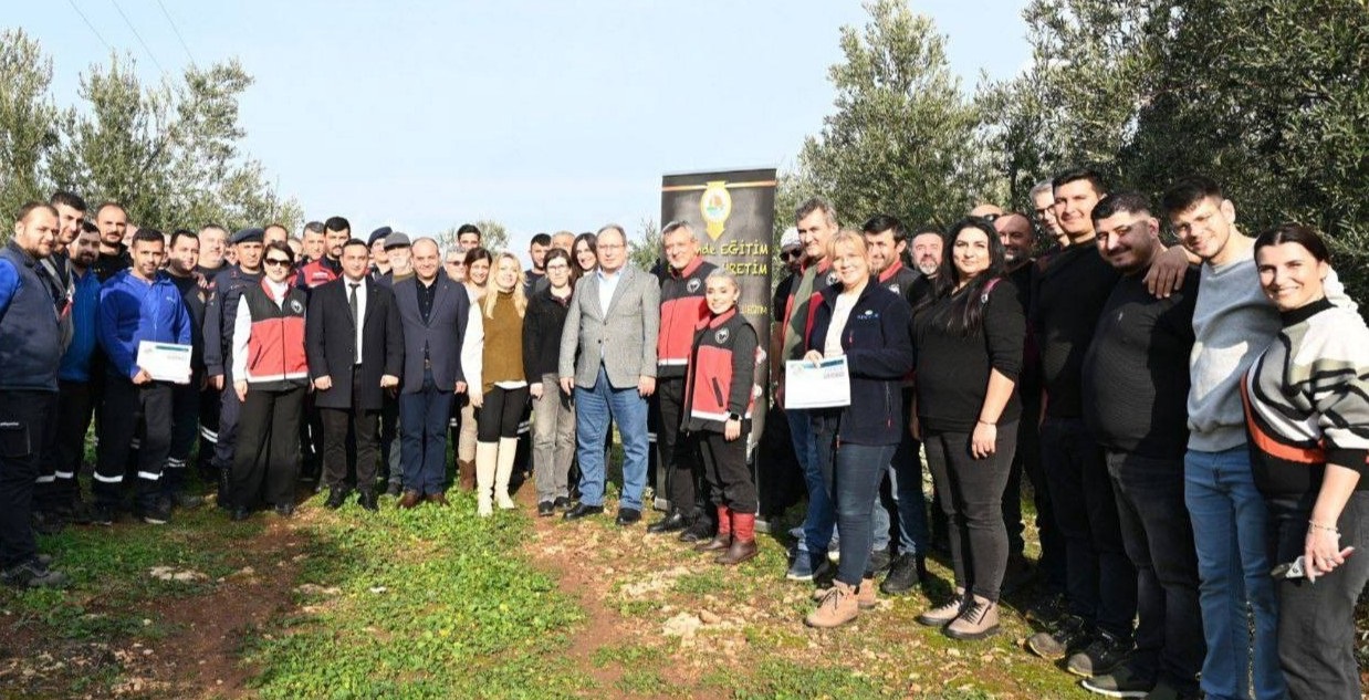 Zeytin Ağacı Budamanın Püf Noktaları (1)