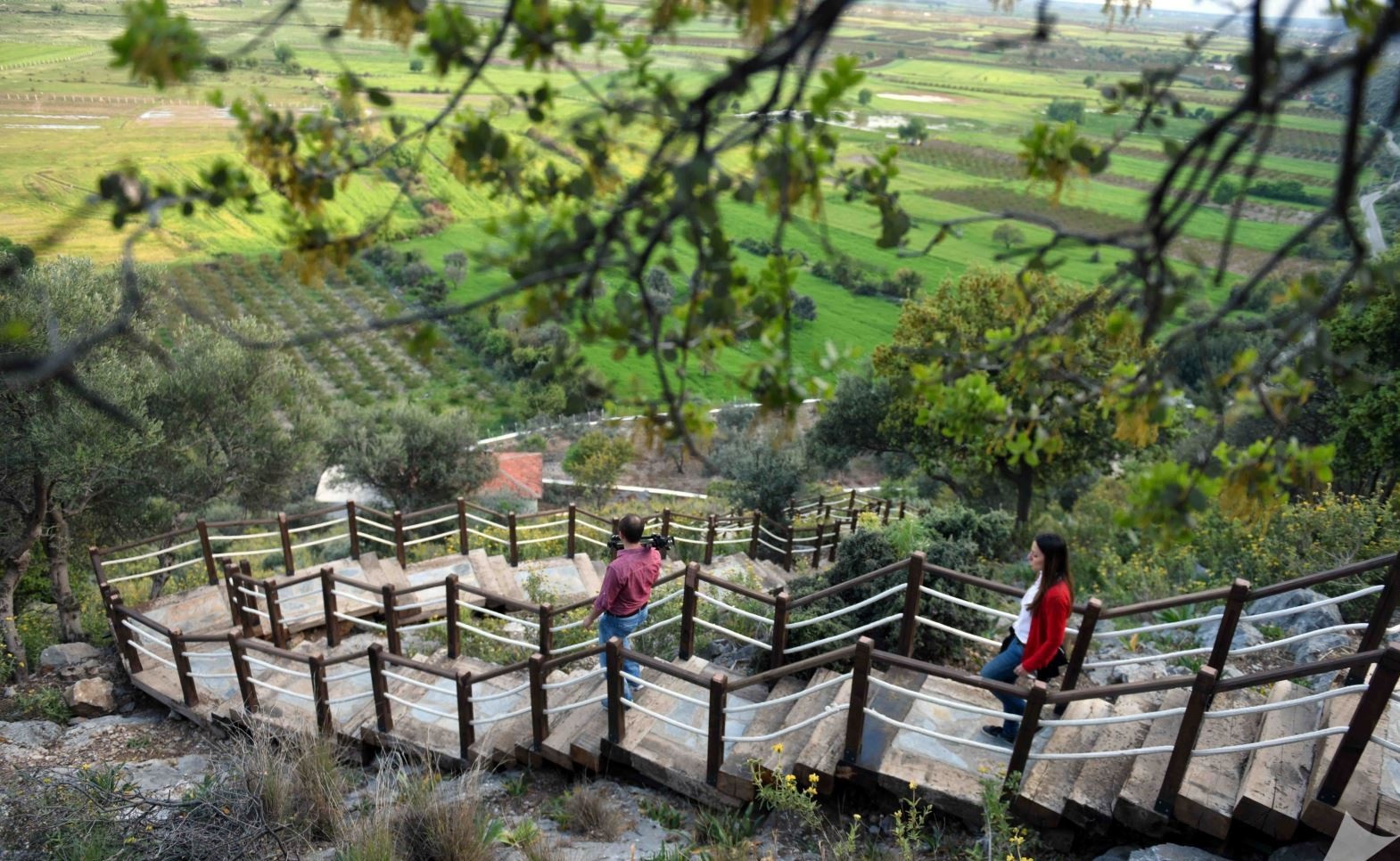 00682233 623A 4F33 B9D1 Bc2Bc1E7Df64