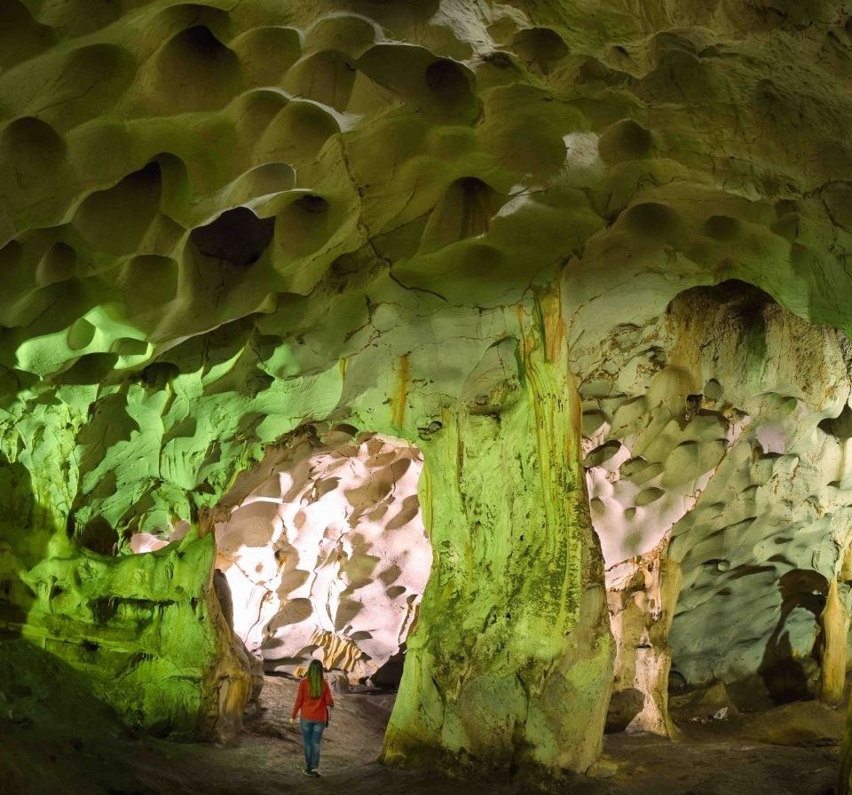 748C9A6C 0190 44Ef Bb47 A0Bd34B75Dba