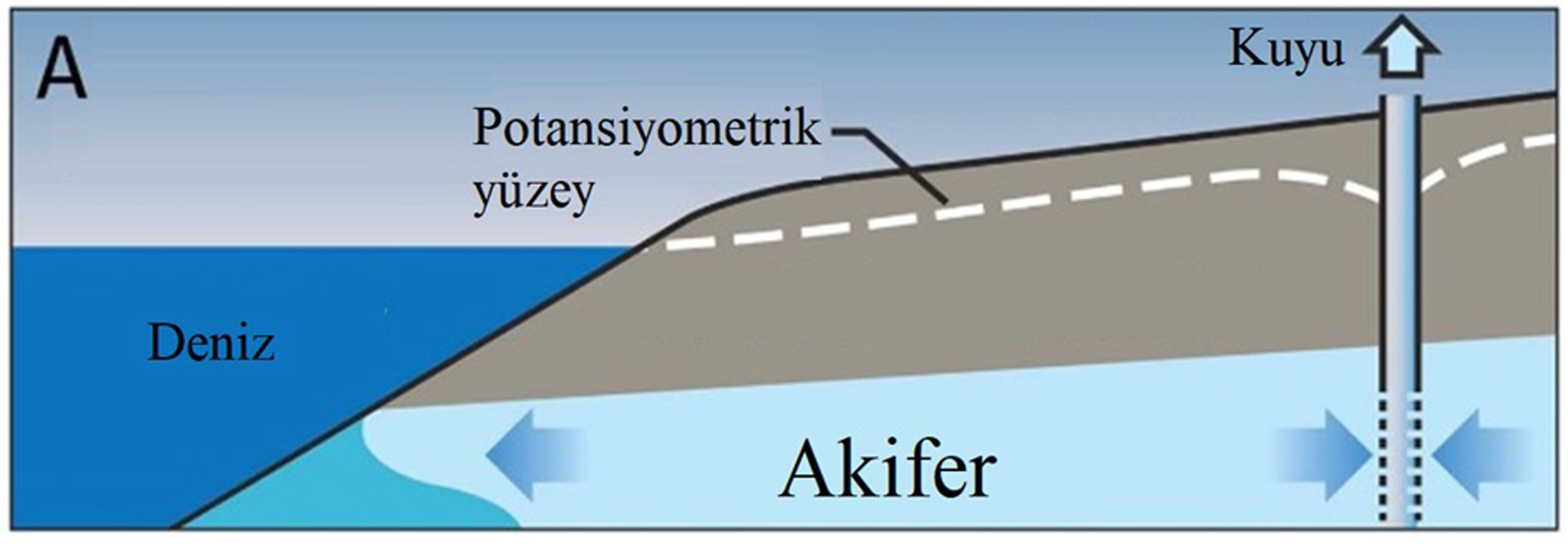 Akdeniz Üniversitesi Açıkladı! Antalya’nın Içme Suyunda Yeni Tehlike (4) (Large)