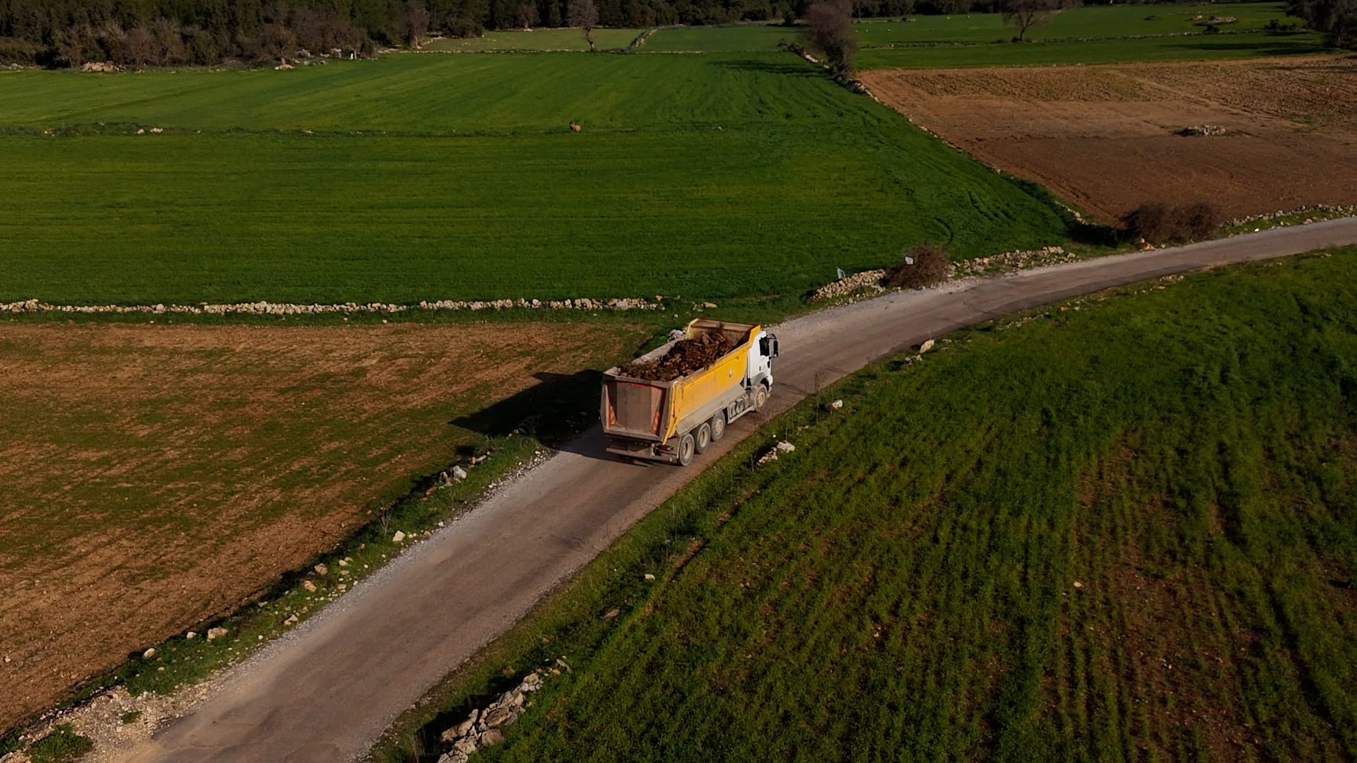 Aksu Belediyesi Can Dostlara Kalici Cozum (2)