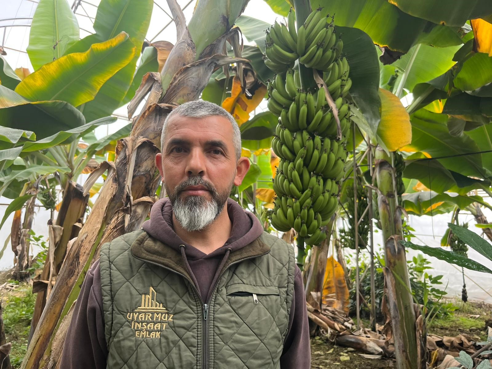 Alanya, Türkiye'nin Muz Ihtiyacının Yüzde 40'Inı Karşılıyor (3)