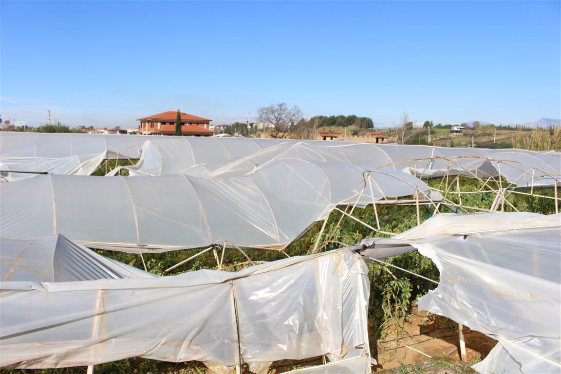 Antalya Büyükşehir Belediyesi Zarar Gören Üreticiyi Yalnız Bırakmadı (3) (Medium)