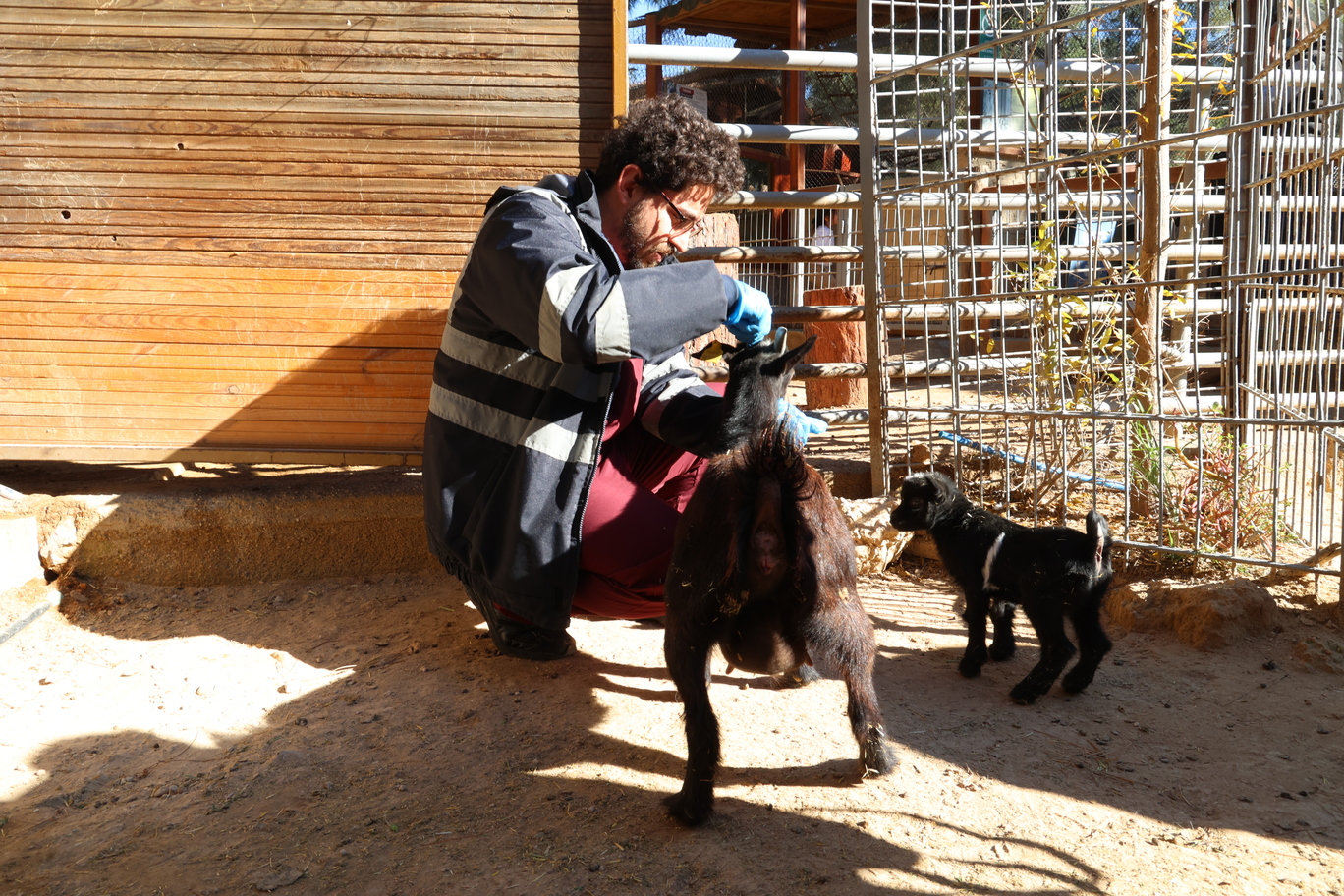 Antalya Büyükşehir Belediyesi’nden Soğuk Günlerde Hayvanlara Sıcak Dokunuş (2)