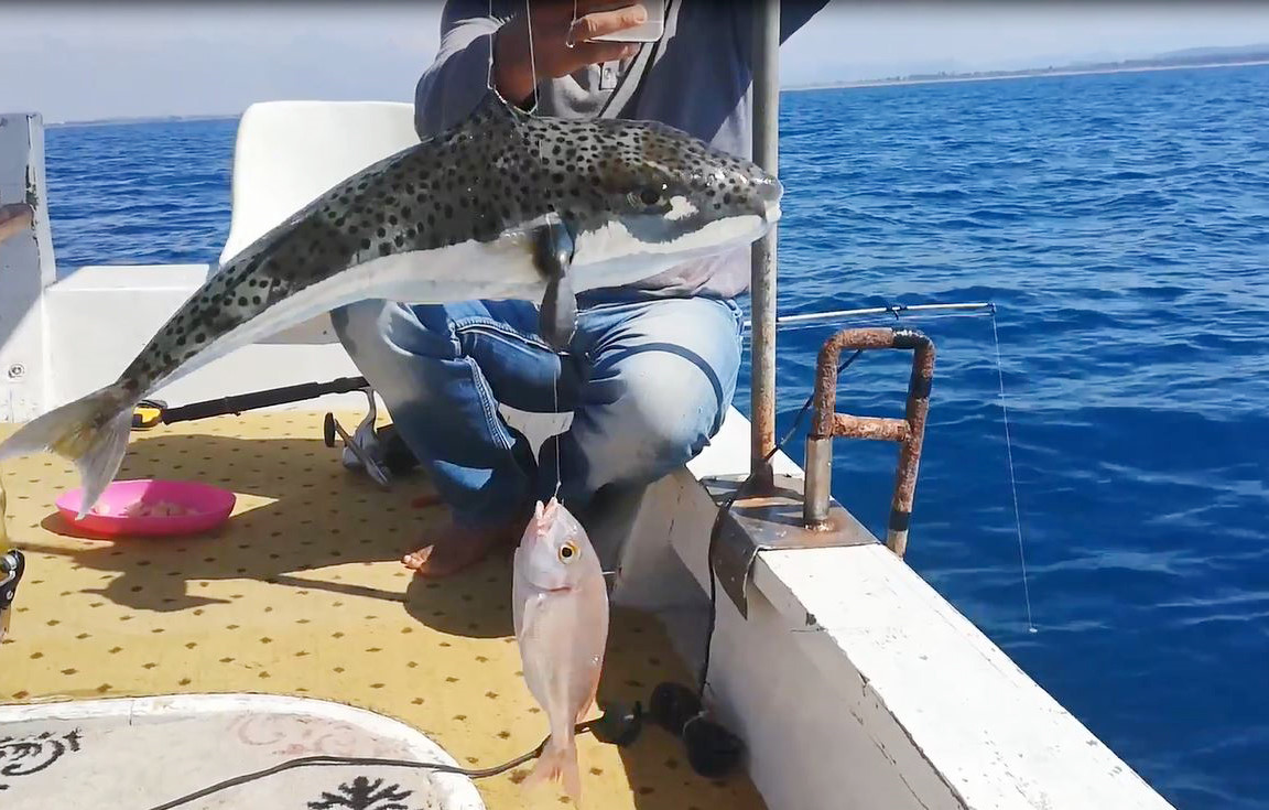 Antalya Sahilinde Alarm (2)-1