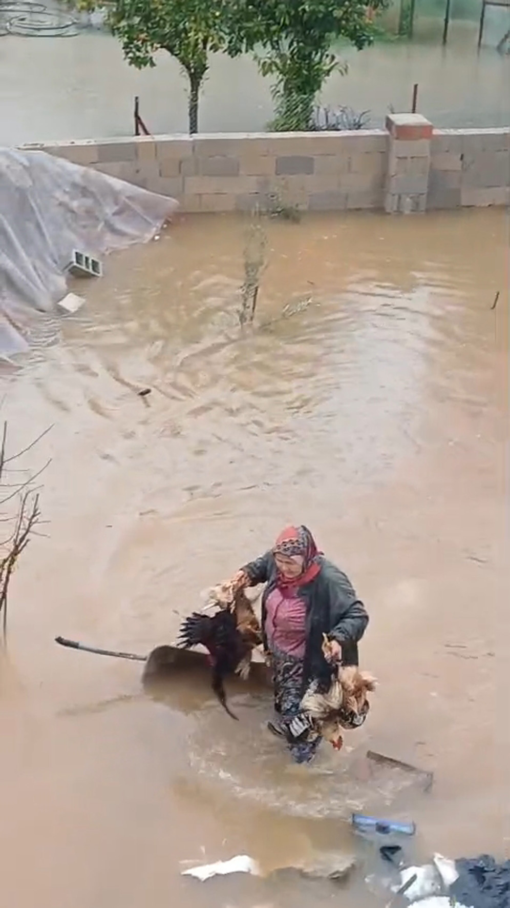 Antalya Sel Tarim (1)