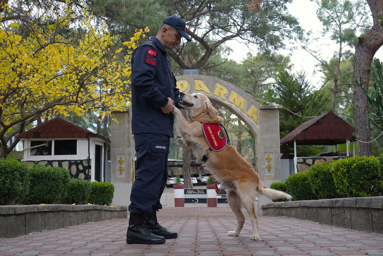 Antalya’da 8 Yılda 48 Canlıyı Kurtaran Jak Köpeği Ocak Emekliliğe Ayrıldı (3)