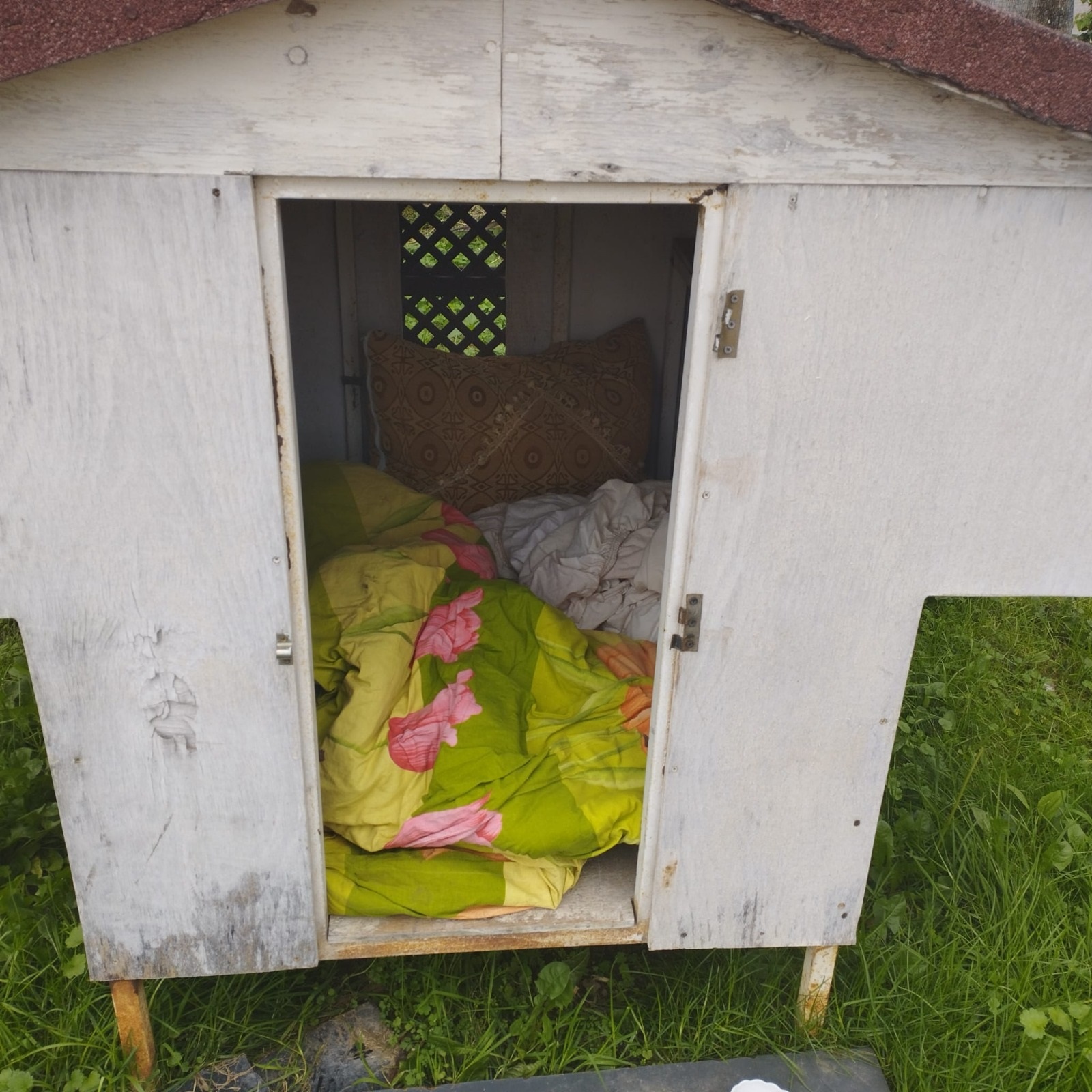 Antalya’da Çağdışı Manzara! Soğukta Kalan Evsiz, Çareyi Hayvan Barınağında Buldu (1)İi̇i̇