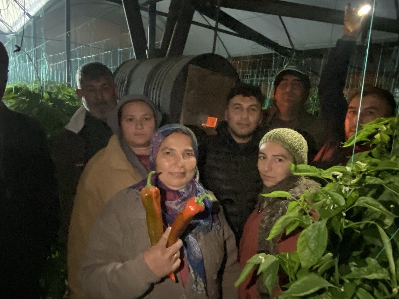 Antalya’da Don Mesaisi Başladı! Üretici Ailece Serada Sabahlıyor (1)