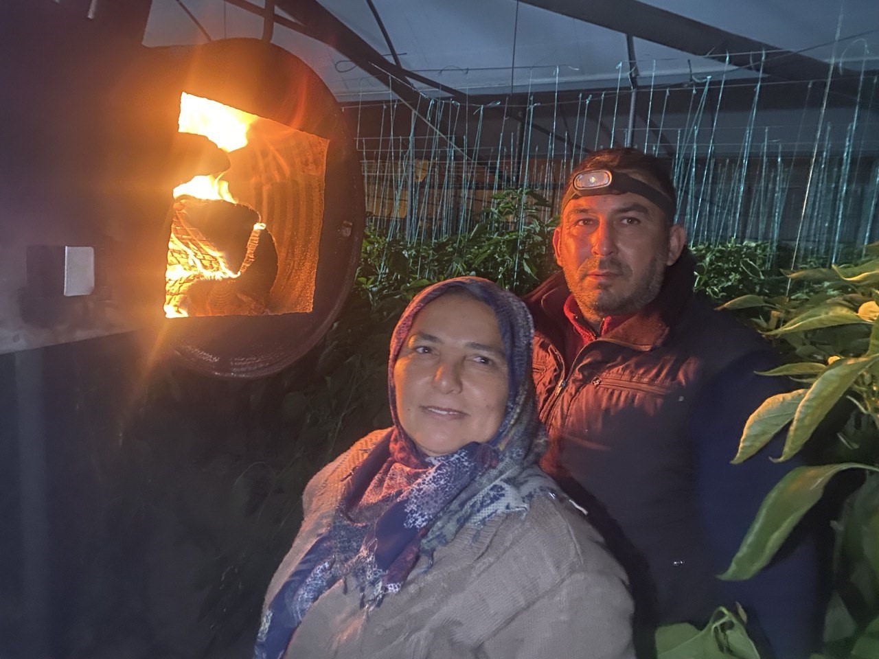 Antalya’da Don Mesaisi Başladı! Üretici Ailece Serada Sabahlıyor (3)