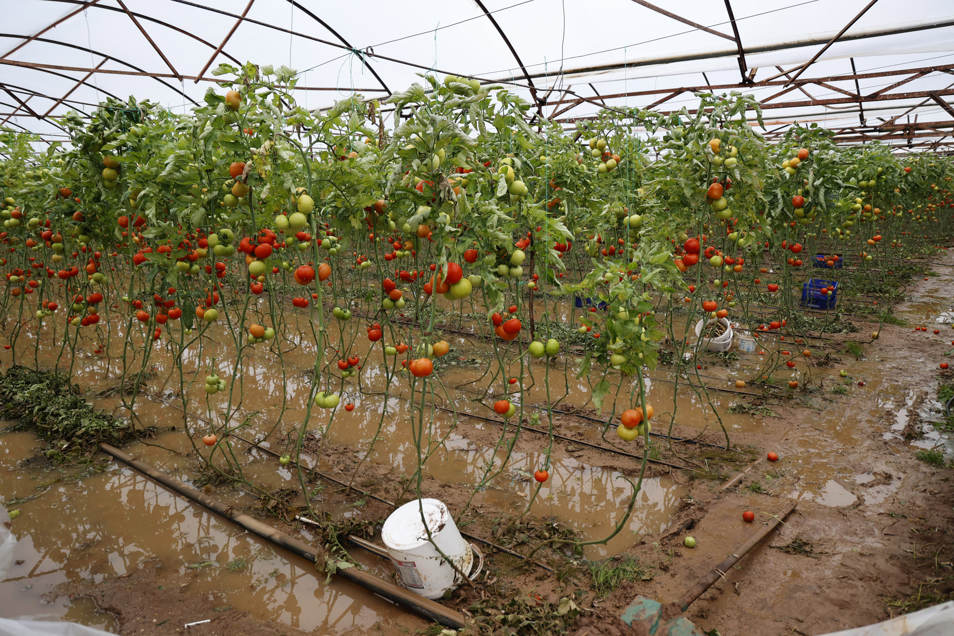 Antalya’da Hortum Ve Sel Tarımı Vurdu Fiyatlar Yüzde 100 Arttı (3)