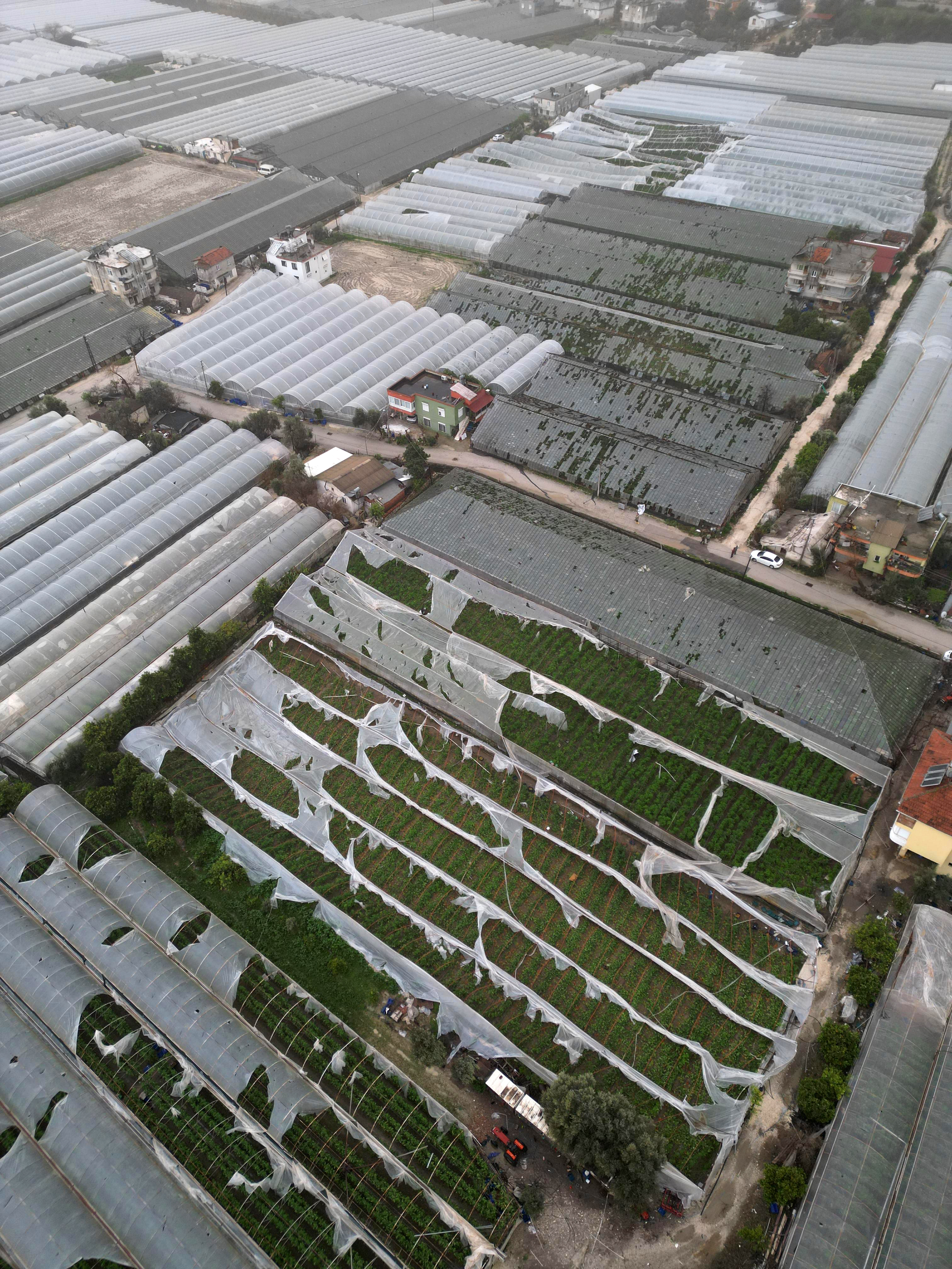 Antalya’da Hortum Ve Sel Tarımı Vurdu Fiyatlar Yüzde 100 Arttı (6)