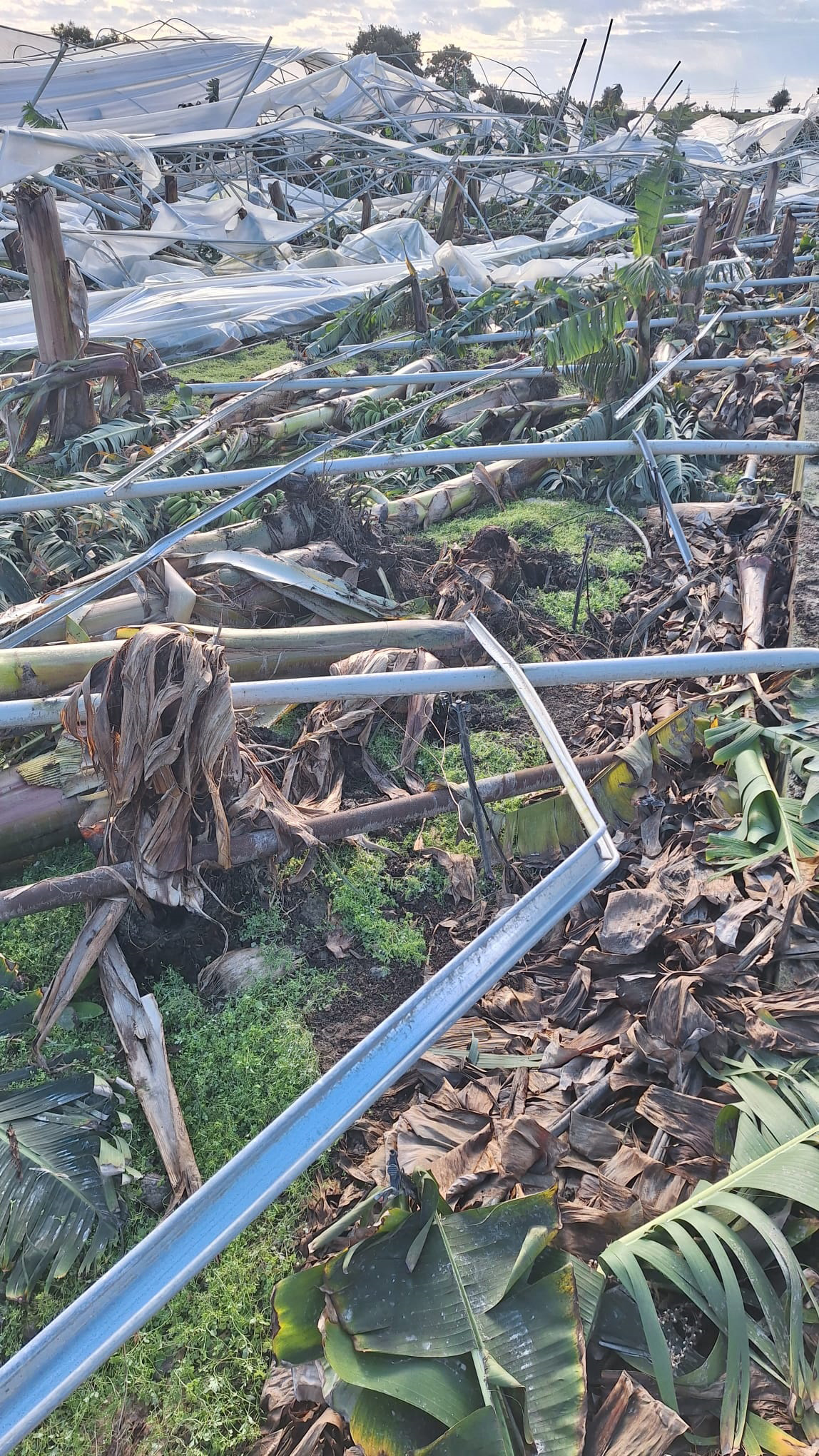 Antalya’da Hortumun Neden Olduğu Zarar, Gün Ağardığında Ortaya Çıktı (3)