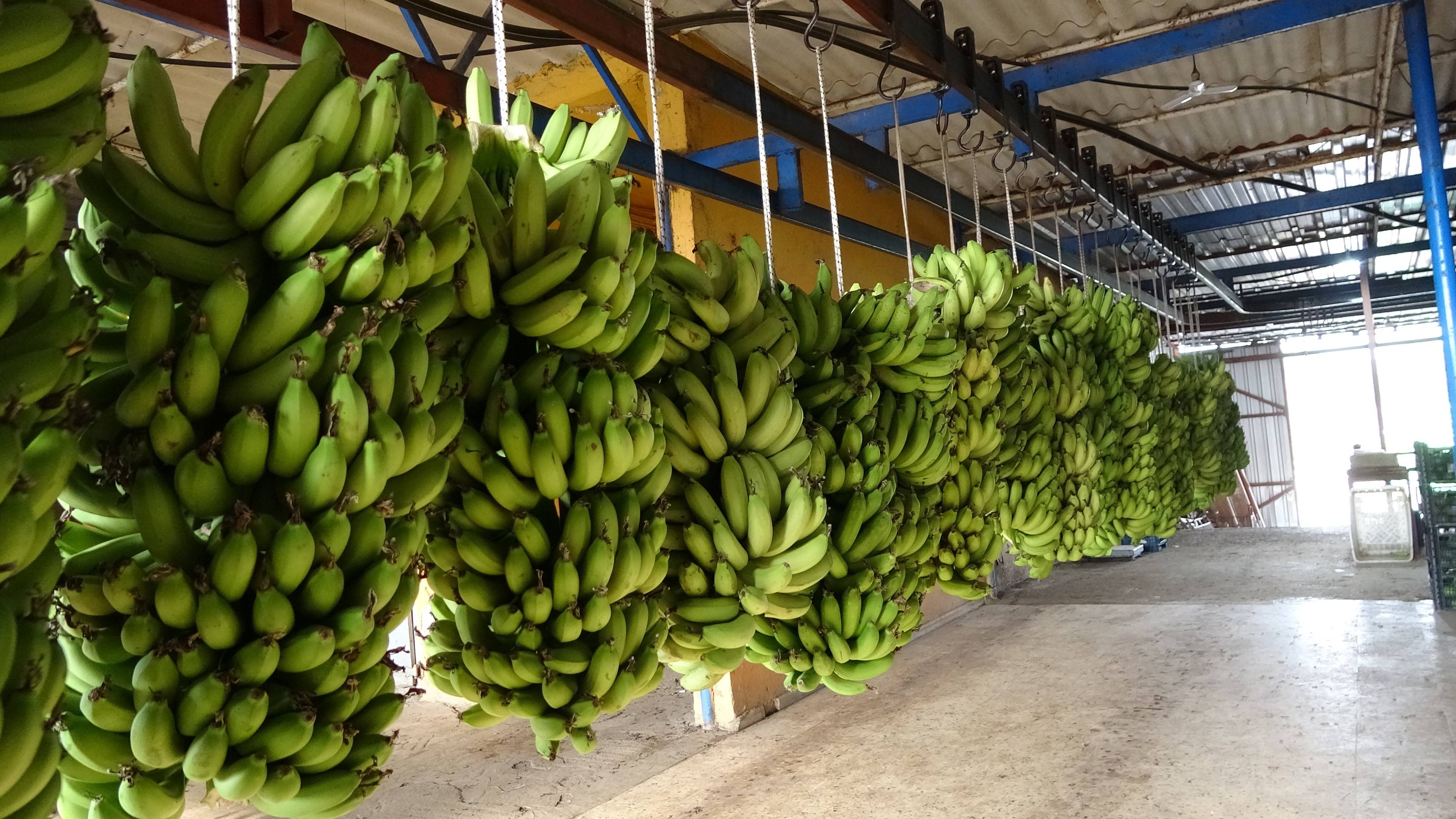 Antalya’da Meyvede Fiyat Arttı, Sebzede Geriledi (1)